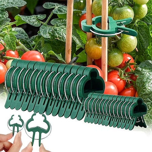 

ensembles de clips de greffage, y compris 20pcs s clips, 20pcs l clips, 20 attaches de plantes grimpantes de vigne, pince de serre, clip de plante en plastique, support de fixation, greffage de plantes, structures de support de plantes