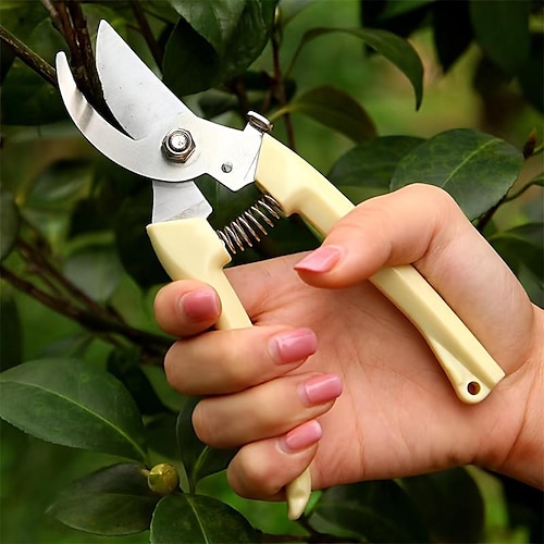 

1pc Pruning Shears, Stainless Steel Scissors For Flower Branch, Garden Hand Pruner Secateurs, Gardening Tools