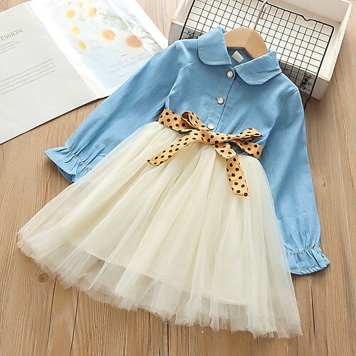 

Bambino Da ragazza Vestito Tinta unica Abito casual Sopra il ginocchio Vestito Esterno A V Manica lunga Attivo Vestito 3-7 anni Estate Blu chiaro