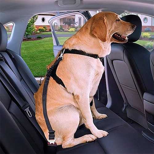 

Arnês de carro para cachorro Corda de segurança para carro de estimação Corda de segurança retrátil para cachorro Corda de segurança para cachorro refletiva Nylon elástico