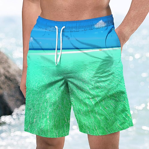 

Herre Badeshorts Letvægt Hurtigtørrende Surf shorts Underdele Surfing Strand Vandsport Ternet Hældning Trykt Sommer Forår