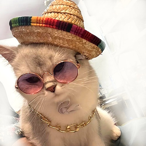 

Pet Mexican Style Woven Straw Hat Fashionable Glasses Gold Necklace Set Decorative Jewelry