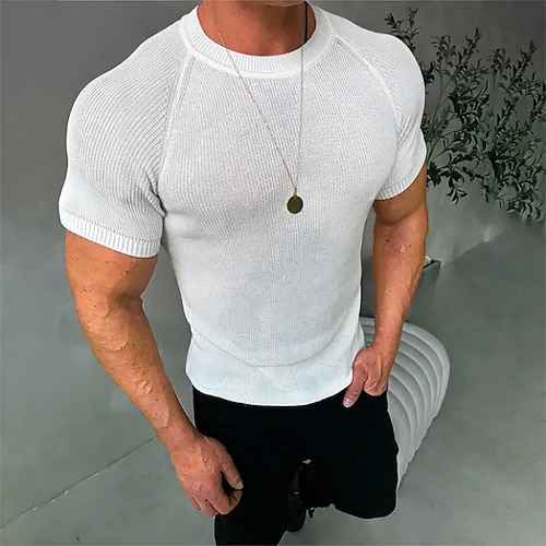 

Homme T shirt Tee T-shirt Plein Manches raglan Col Ras du Cou Plein Air Vacances Manches courtes Tricoté Vêtement Tenue Mode Design basique