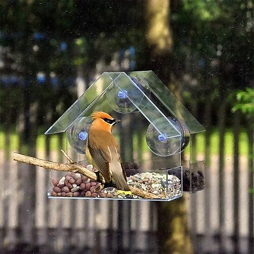 

Mangeoire à oiseaux transparente anti-écureuil en acrylique avec ventouse puissante et plateau coulissant amovible