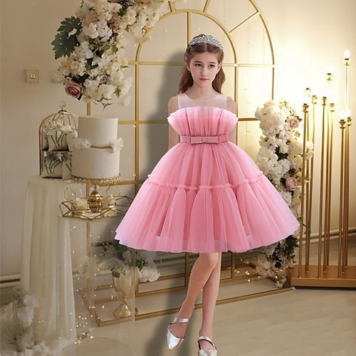 

Bambino (1-4 anni) Da ragazza Vestito da festa Tinta unica Abito in tulle Al ginocchio Vestito Prestazioni Girocollo Senza maniche Da principessa Vestito 3-7 anni Autunno Rosa
