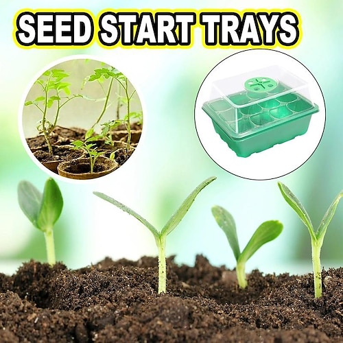 

12 Holes Seed Grow Planter Box Greenhouse Garden Seed Plant Seeding Tray