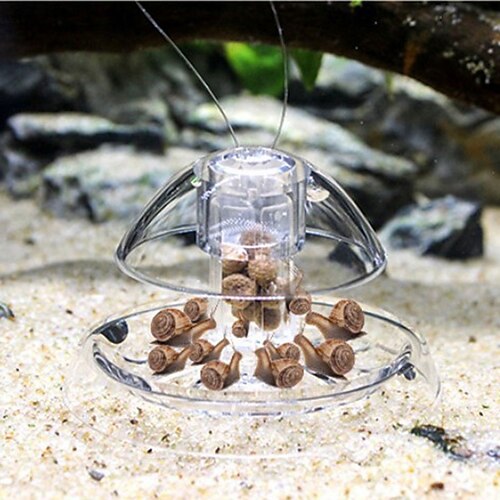 

Receptor de trampa para caracoles, tanque de plantas de peces de acuario, caja de plástico transparente para atrapar plagas, sanguijuela, plantas ambientales, herramientas limpiadoras de planarias