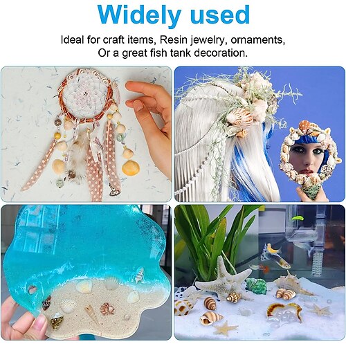 1400 PCS Tiny Sea Shells Small Natural Starfish Mixed Ocean Beach Spiral  Seashells for Home Decorations, Beach Theme Party, Wedding Decor, Candle  Making, Fish Tank and Vase Filler 2023 - US $7.49