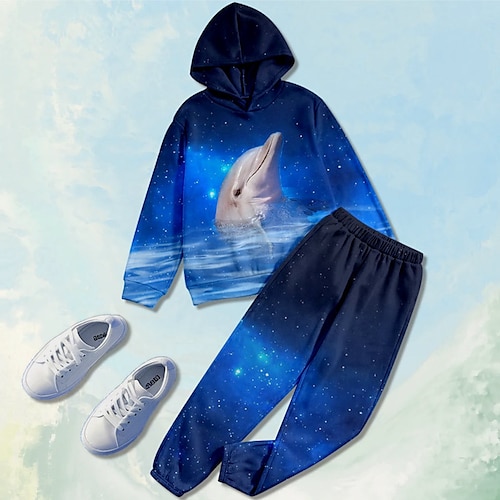 Boys 3D Graphic Animal Galaxy Hoodie Pants Hoodie Set Clothing