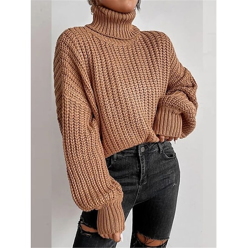 

Damen Pullover Strickwaren Gedrehtes Stricken überdimensional Feste Farbe Rollkragen Stilvoll Brautkleider schlicht Täglich Ausgehen Frühling Herbst Schwarz Weiß Rosa S