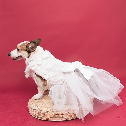 hund bröllopsklänning huvudbonad klänning prinsessklänning bröllopsklänning husdjur puff klänning katt bröllop corgi fotokläder