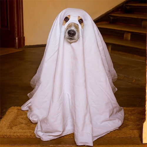 Sweetude Halloween Dog Costumes with Non Woven Pumpkin Bags White