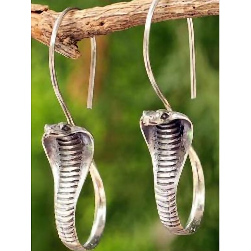 

Women's Earrings Vintage Outdoor Snake Earring