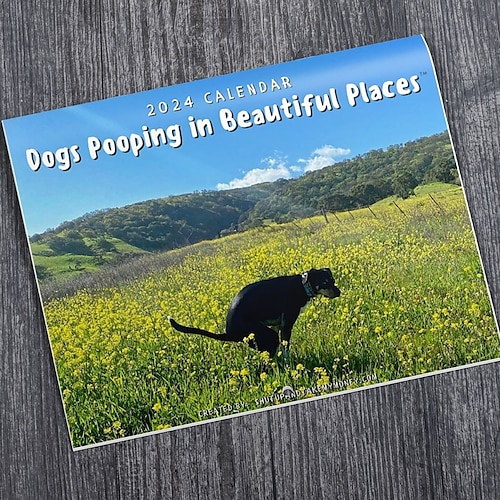 

2024 Calendar - Dogs Pooping in Beautiful Places Wall Calendar January 2024 from December, Funny Wall Art Gag Humor Gift Prank Calendar, Gifts for Friends