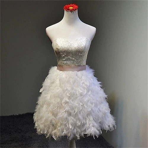 

Women's Princess Ballerina Dancer Performance Dancing Dress Tiered Tutu Gown Cute Party Tulle Feather White Dress
