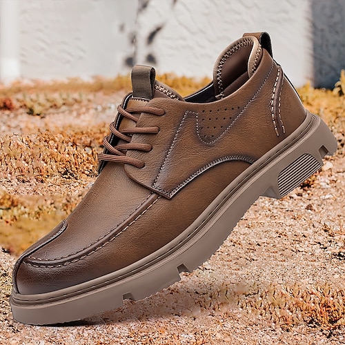 

Herren Outdoor Derby-Schuhe Formale Schuhe Wanderschuhe Geschäftlich Brautkleider schlicht Täglich Büro Karriere Plüsch Schnürsenkel Schwarz Braun Farbblock Frühling Herbst