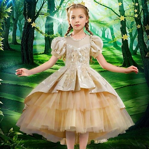 Book Week 2026 Snow Queen Princess Fairy Dress Flower Girl Dress Tulle Dresses Carnival Costume Movie TV Theme Costumes for Girls' Kid's Halloween Carnival Mardi Gras Party Performance Stage 2026 - $55.99 Book Week 2026 Snow Queen Princess Fairy Dress Flower Girl Dress Tulle Dresses Carnival Costume Movie TV Theme Costumes for Girls' Kid's Halloween Carnival Mardi Gras Party Performance Stage 2026 - $55.99
