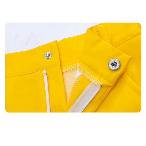  Koreansk idolinspirerad Popstjärna Kostym Vacker klänning Virtuell idol for Dam Vuxen Halloween Karnival Prestanda Comic Con Anime Expo