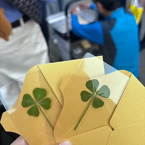  Set of 12 St. Patrick 2026 luck Four-Leaf Clover Cards Transparent design suitable for birthdays and weddings St Patrick's Day-themed decorations