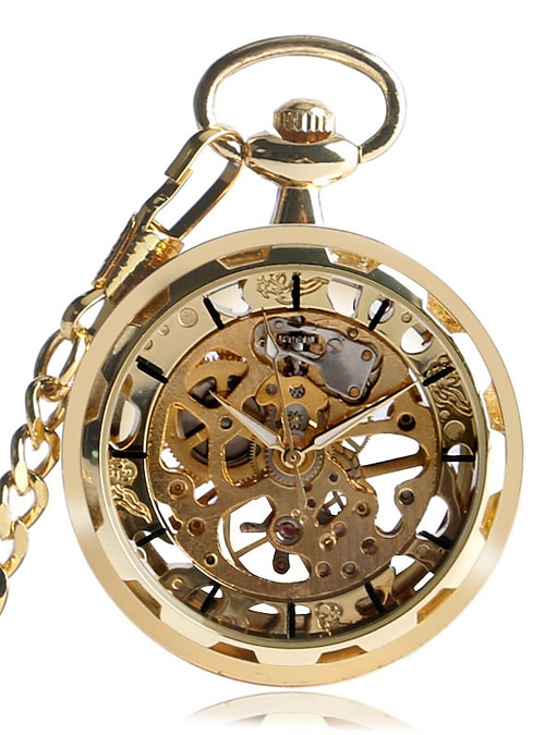 Titanium on sale pocket watch