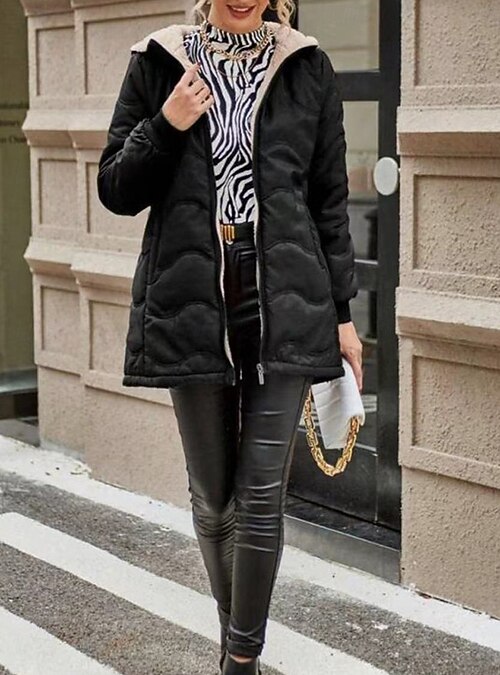 Veste à Capuche En Polaire Pelucheuse Pour Femme - Veste Chaude à Double Face Avec Fermeture éclair - Vêtement De Sport Décontracté Avec Poches Pour Cadeau - Gris Clair | Taille XXL