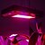 abordables Lampes décoratives, gadgets-300w mené élèvent la lumière avec des couleurs de récolte super (NASA rouge et bleu)