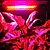 abordables Lampes décoratives, gadgets-300w mené élèvent la lumière avec des couleurs de récolte super (NASA rouge et bleu)