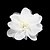 Χαμηλού Κόστους Κεφαλό Γάμου-πανέμορφο τούλι / πολυεστέρα λουλούδι νυφικό / κορσάζ / headpiece