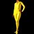 cheap Zentai Suits-Shiny Zentai Suits Skin Suit Adults&#039; Cosplay Costumes Women&#039;s Halloween Carnival New Year / Catsuit / Catsuit