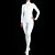 abordables Trajes Zentai-Trajes Zentai Brillantes Traje de piel Adulto Disfraces de Cosplay Mujer Víspera de Todos los Santos Carnaval Año Nuevo / Traje de Gato / Traje de Gato