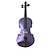 billiga Fioler-4/4 nybörjaren grad glänsande Massiv gran violin (multi-färg)