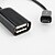 abordables Câbles USB-USB femelle à micro usb convertisseur 0.1m