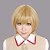 billige Parykker til videospill-cosplay-Dot Hack Atoli Cosplay-parykker Herre Dame 10 tommers Anime
