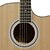 billiga Gitarrer-Hawks 40 &quot;nybörjare frilagd granplywood toppen satin akustisk gitarr