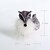 cheap Rings-Fox Feather Zircon Alloy Ring