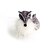 abordables Anillo-Feather Fox circón anillo de aleación