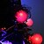 billige Wifi-betjening-7M 30-LED Snowball-Shaped farverige lys LED Strip fe Lampe for Festival Decoration (220V)