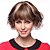 abordables Pelucas naturales de malla-Pelucas para mujeres Rizado Las pelucas del traje Pelucas de Cosplay