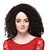 cheap Synthetic Trendy Wigs-Synthetic Wig Curly Curly Layered Haircut Full Lace Wig Short Synthetic Hair 13 inch Women&#039;s Waterfall Brown