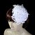 levne Svatební čelenka-nádherný peří s imitací perel / krajkové svatební fascinators