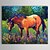 levne Zvířecí malby-ručně malovaná olejomalba zvíře kůň 1304-an0072