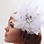 Недорогие Свадебный головной убор-Красивые шелкографии с перьями Свадьба / Цветочный головной убор невесты