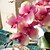abordables Florero-35 &quot;h orquídeas en el arreglo florero de cristal