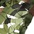 billige Sikkerhed og overlevelse-Holdbar Canvas og Nylon Materiale Mesh til solafskærmning (Camouflage)