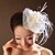 cheap Headpieces-Women&#039;s Lace / Feather / Tulle Headpiece-Wedding / Special Occasion Flowers