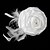 preiswerte Anstecker und Broschen-Damen Broschen Blume Stilvoll Brosche Schmuck Weiß Für Alltagskleidung