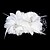 זול כיסוי ראש לחתונה-נשים נוצה כיסוי ראש-חתונה / אירוע מיוחד פרחים מוצג כתמונה