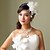 cheap Headpieces-Women&#039;s Lace / Feather Headpiece-Wedding / Special Occasion Flowers