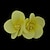 abordables Tocado de Boda-Mujer Pluma Tejido Celada-Casual Flores
