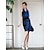 Χαμηλού Κόστους TS Φορέματα-Σκούρο μπλε Φόρεμα - Αμάνικο Καλοκαίρι Σκούρο μπλε